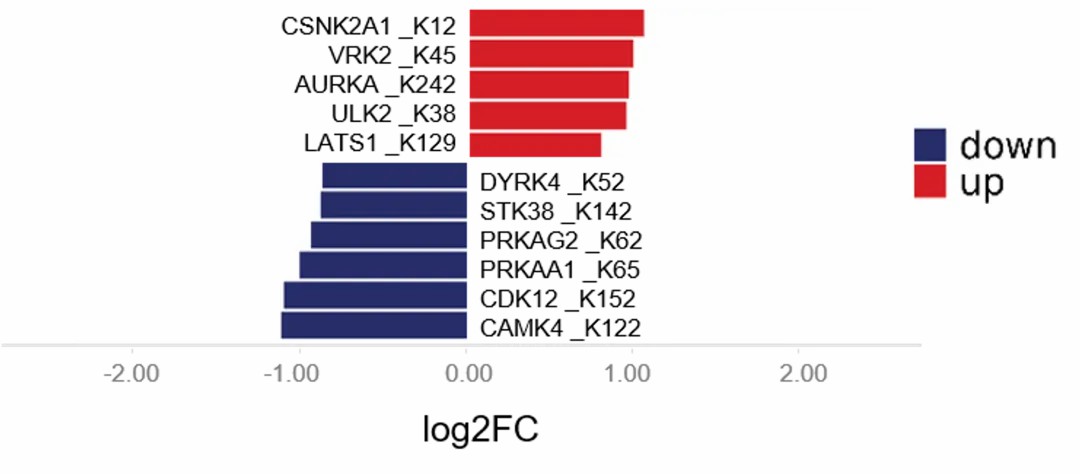 Advancements in Protein Methylation Research